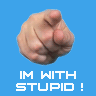 stupid.gif